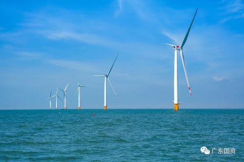620-2019年投产的湛江外罗海上风电.jpg