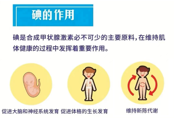 广东省人民政府国有资产监督管三亿体育官方网站理委员会(图1)