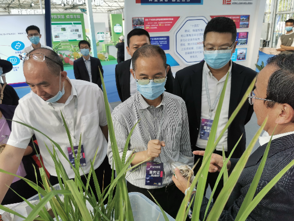 2.广东省种业集团参加中国农业绿色产业大会暨第二十届广东种业大会，在大会上向嘉宾介绍“高端丝苗米+禾虫”生态养殖模式.jpg